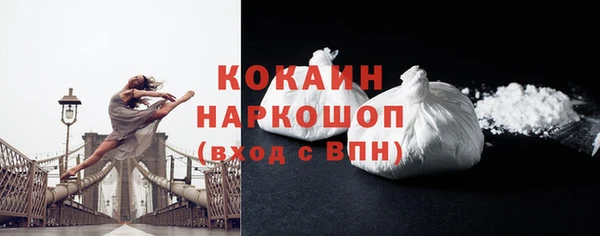 гашик Гусь-Хрустальный