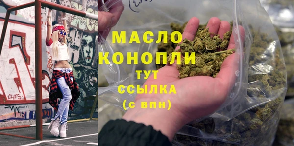 гашик Гусь-Хрустальный