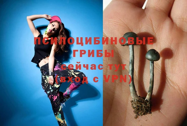 герыч Гусев